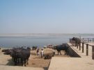 Varanasi: na brzegu Gangesu