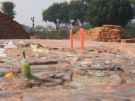 Sarnath: na ruinach świątyni