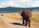 So, Ngorongoro NP