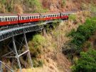 Zabytkowy pociąg pokonuje wiekowe mosty w buszu