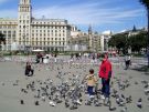 Pełen gołębi Plac Kataloński