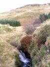 Potok i krzewy na Beinn Chaorach