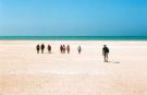 Shark Bay - Shell Beach