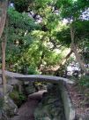 Kamakura - ogród świątyni Kotoku-in