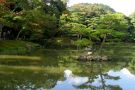 Kioto - ogród Kimkaku-ji