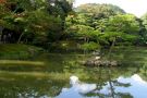 Kioto - ogrd Kimkaku-ji