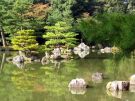 Wodne odbicie ogrodu Kinkaku-ji, Kioto