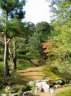 Jesie w ogrodzie Kinkaku-ji, Kioto