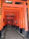 Fushimi Inari - korytarze setek wotywnych torii