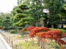 Jesień w ogrodzie zamku Osaka-jo