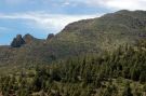 Las i krzewy pokrywające zbocza Teide