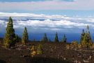 Prawie na szczycie Teide, powyżej warstwy chmur