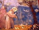 Św. Franciszek Giotta