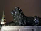 Rzeźba lwa pod kolumną Nelsona