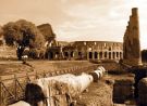 Koloseum nie zawsze oblężone przez miliony turystów
