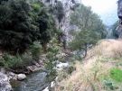 Pyrenees