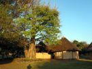 Domki pośród baobabów