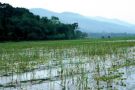 Myanmar. Dojedamy do Jeziora Inle.