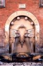 Fontana dei Libri - Via Straderari