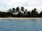 Grenada - Tobago Cays, fot. T. Adamczyk