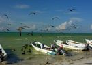 Wielka uczta na wyspie Holbox