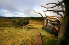 Overland Track - Cradle Mountain-Lake stClair NP