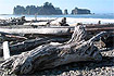 USA: Olympic National Park - plaa Rialto w poudnie. Foto: Andrzej Kulka