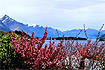 Nowa Zelandia: Routeburn Tk w Mt. Aspiring NP. Queenstown i jezioro Wakatipu. Foto: Bezdomna